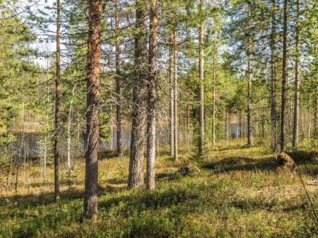 Дома для отпуска Holiday Home Kulpakko 1 Tiainen-14