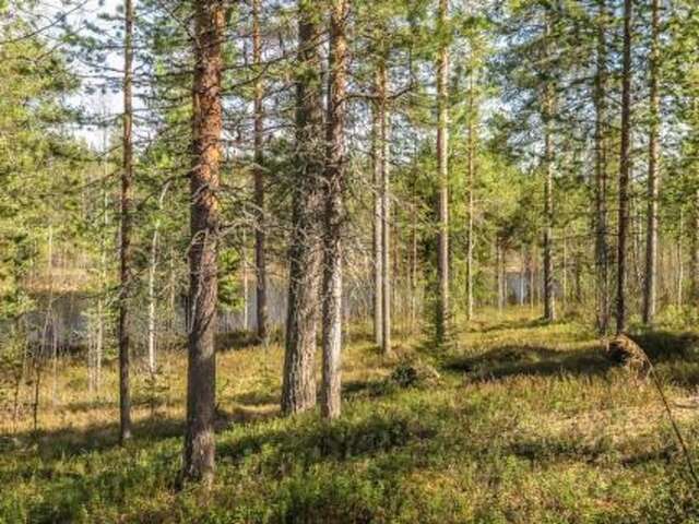 Дома для отпуска Holiday Home Kulpakko 1 Tiainen-24